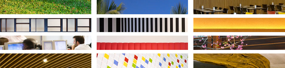 lucia ravache - conheça os projetos